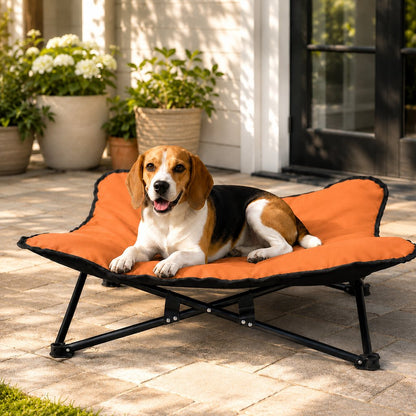 Orange portable folding elevated pet bed for dogs