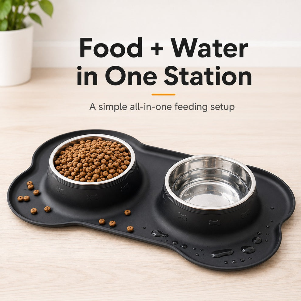 Paws in Awe Spill-Proof Dual Pet Bowl for Cats & Dogs - Mess-Free Food & Water Station for Cleaner Floors image 4