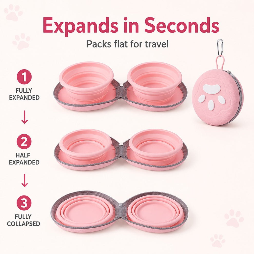 food water separate double pet bowl