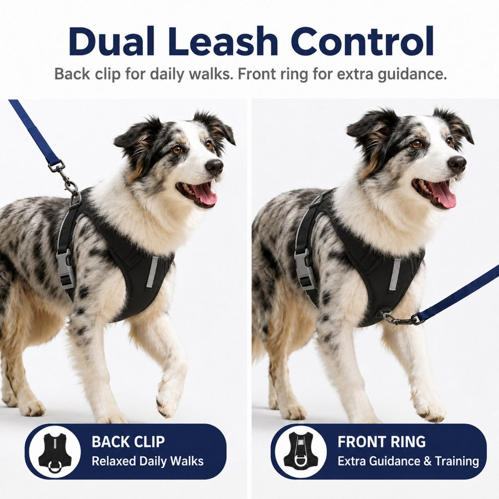 Paws in Awe Reflective Dog Harness for Night Walks, Daily Park Walks & No-Neck-Pull Comfort image 8