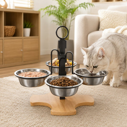 4-bowl elevated pet feeding station for cats and small dogs