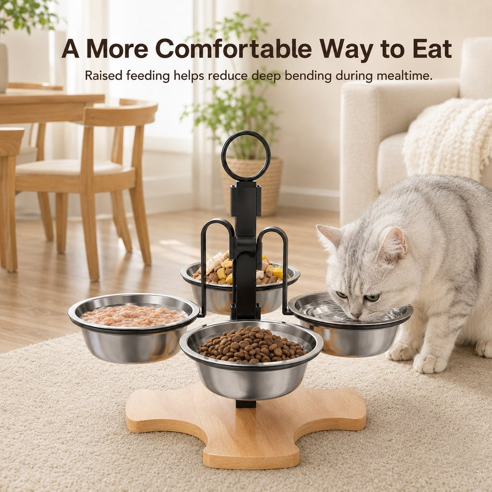 Elevated cat and small dog feeding station with three bowl positions