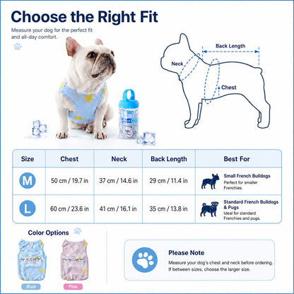 Paws in Awe French Bulldog Cooling Vest for Hot Summer Walks image 9