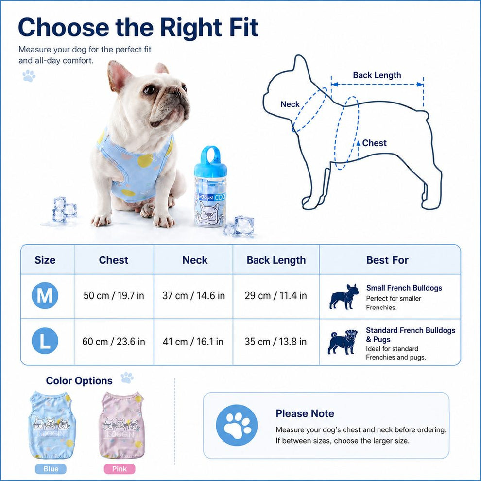 Paws in Awe French Bulldog Cooling Vest for Hot Summer Walks image 9