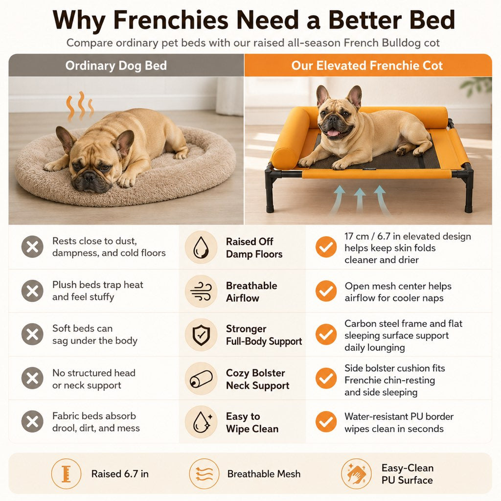 Paws in Awe French Bulldog Elevated Dog Cot for All-Season Indoor Naps - Breathable Raised Pet Bed with Soft Bolsters for Cooler Rest & Easy Cleaning image 4