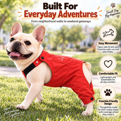 red Frenchie outfit for walks and outdoor adventures