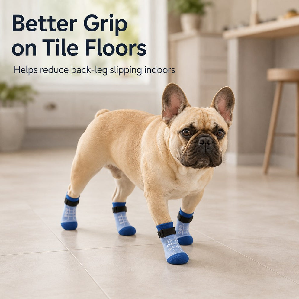Paws in Awe French Bulldog Non-Slip Socks for Tile & Hardwood Floors - Helps Reduce Back-Leg Slipping, 4-Pack image 2