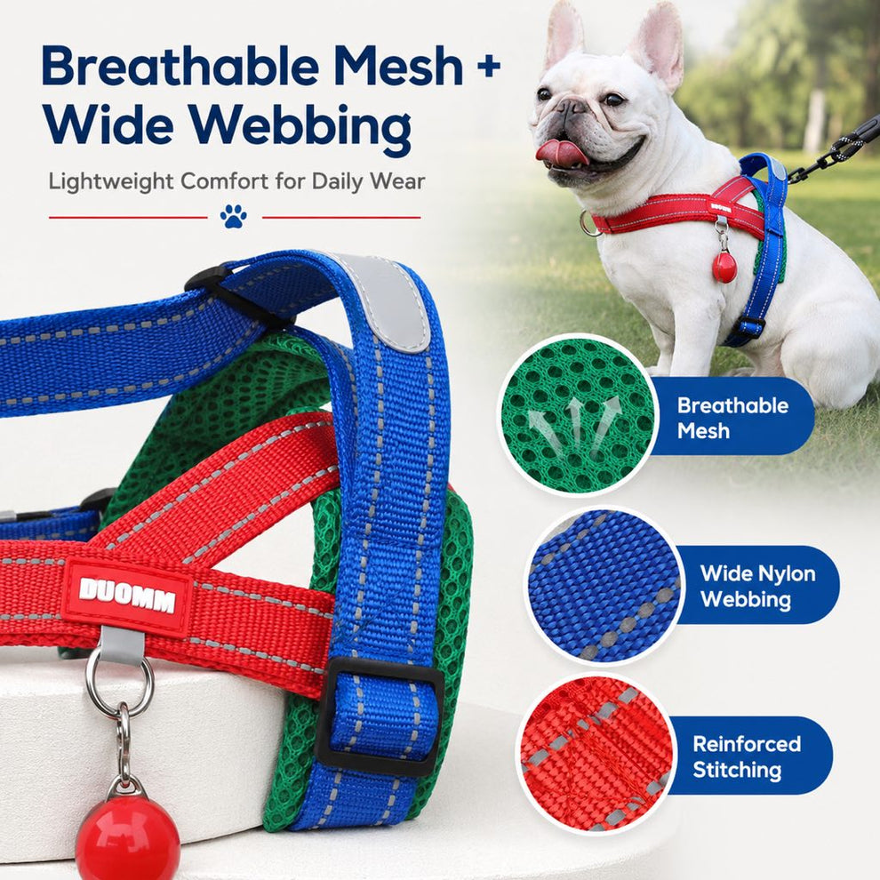 Paws in Awe No-Choke French Bulldog Harness & Leash Set for Daily Walks - Reflective, Easy-Control Fit for Broad-Chest Dogs image 8