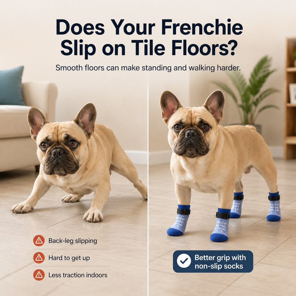 Paws in Awe French Bulldog Non-Slip Socks for Tile & Hardwood Floors - Helps Reduce Back-Leg Slipping, 4-Pack image 3