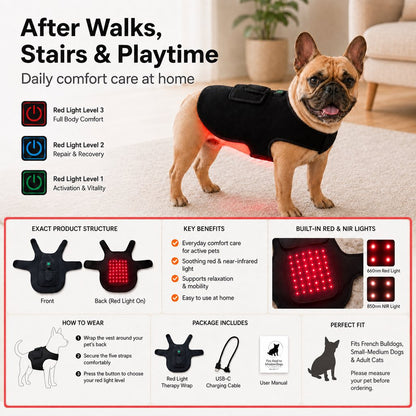 Paws in Awe FrenchieGlow Red Light Comfort Vest for French Bulldogs - USB-Powered or Built-In Battery At-Home Back, Belly & Hip Comfort After Walks, Stairs & Playtime image 4