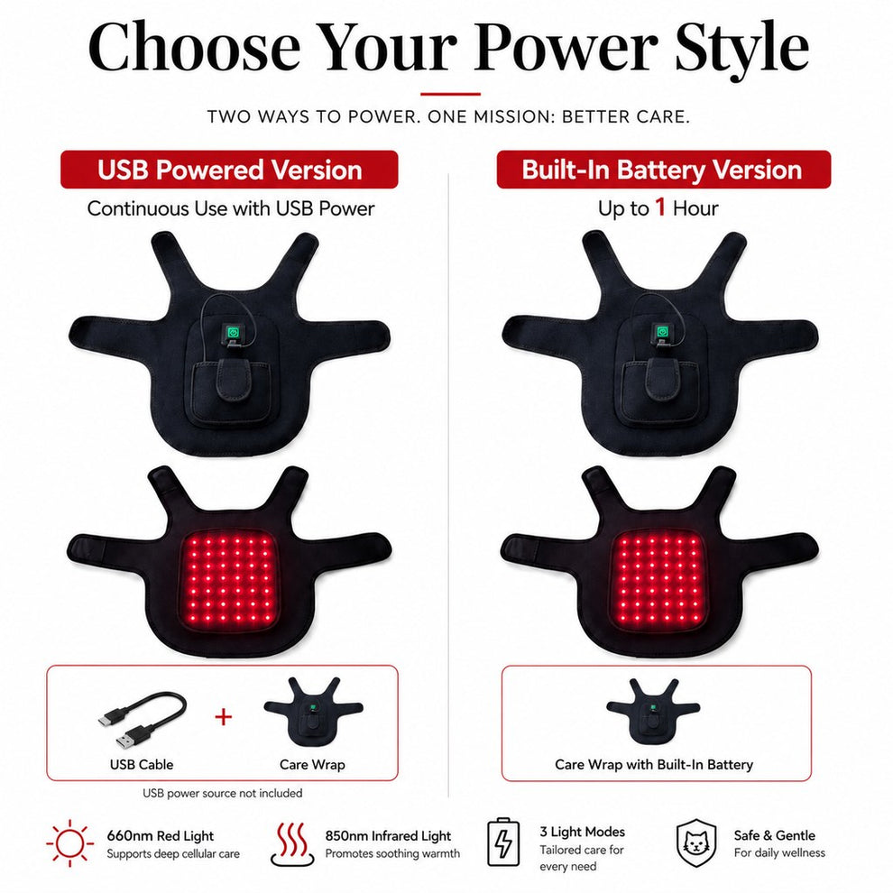 FrenchieGlow USB powered red light comfort vest update image 2