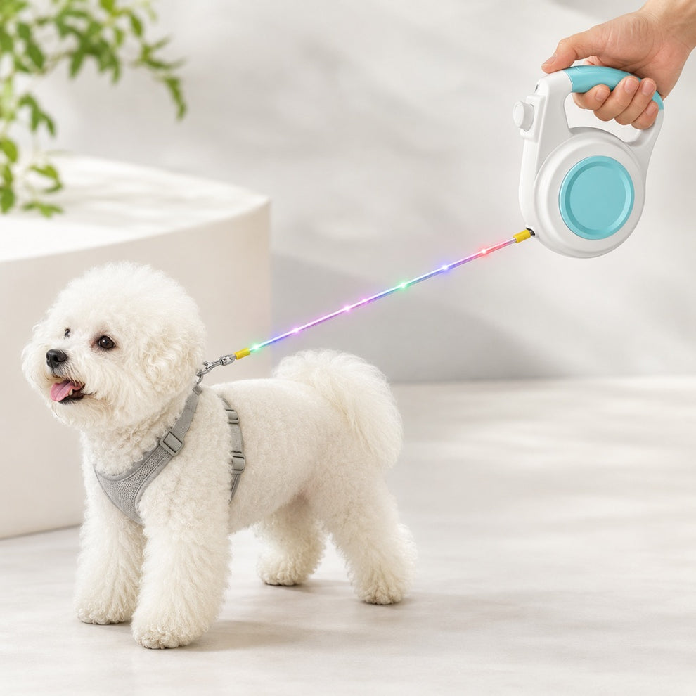 Paws in Awe Rechargeable Light-Up Retractable Dog Leash for Night Walks - Helps Small Dogs Stay Visible & Easy to Control image 1