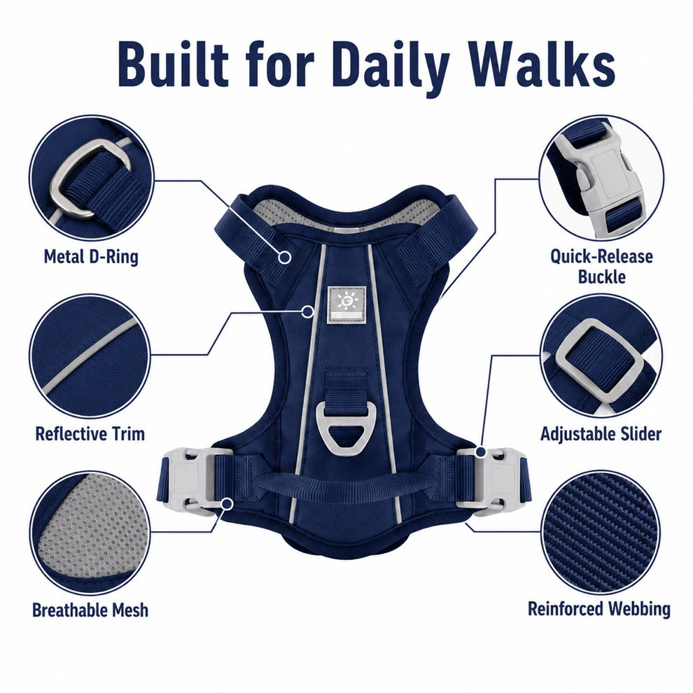 Paws in Awe Reflective Dog Harness for Night Walks, Daily Park Walks & No-Neck-Pull Comfort image 7