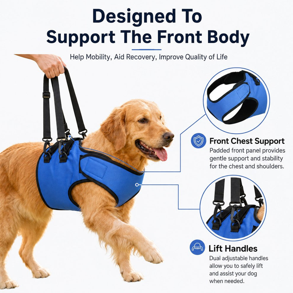 Paws in Awe Front Leg Support Harness for Senior Dogs – Mobility Lift Aid for Walking, Stairs & Car Rides image 2