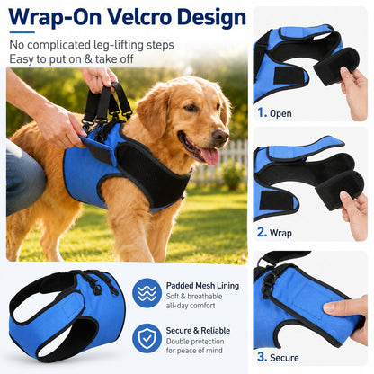 Paws in Awe Front Leg Support Harness for Senior Dogs – Mobility Lift Aid for Walking, Stairs & Car Rides image 5