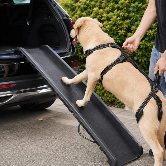 Paws in Awe Full Body Dog Lift Harness for Stairs & Car - Mobility Support for Weak Hind Legs image 1