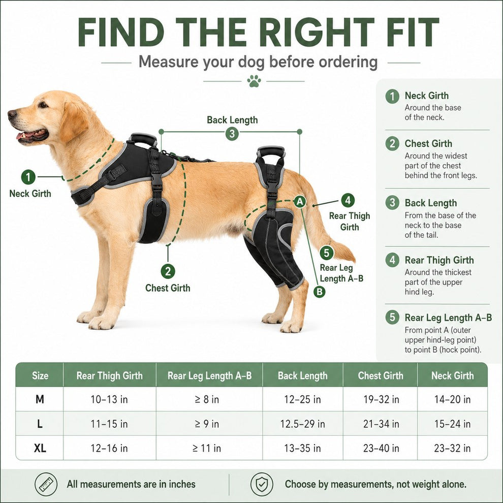 Full-body dog lift harness size guide
