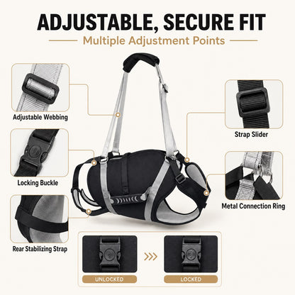 Adjustable secure fit details on full-body dog lift harness