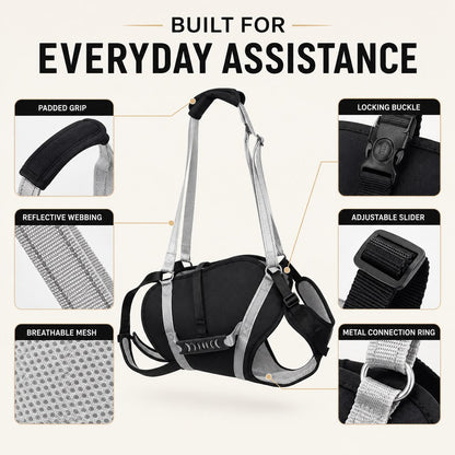 Full-body dog lift support harness detail collage with buckle straps and mesh