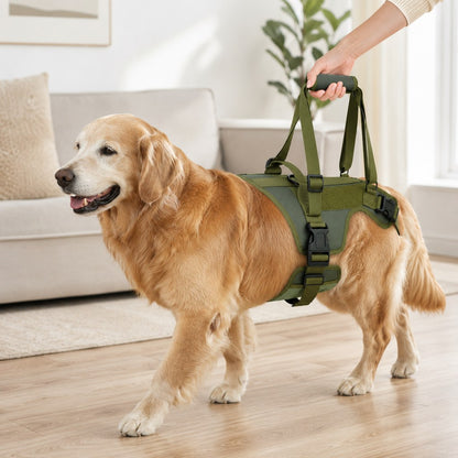 Full-body dog lift support harness for caregiver assistance