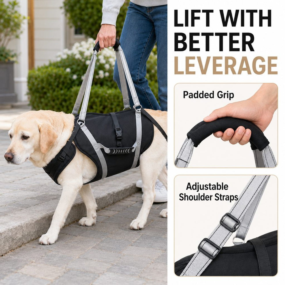 Padded hand grip and adjustable shoulder straps on dog lift harness