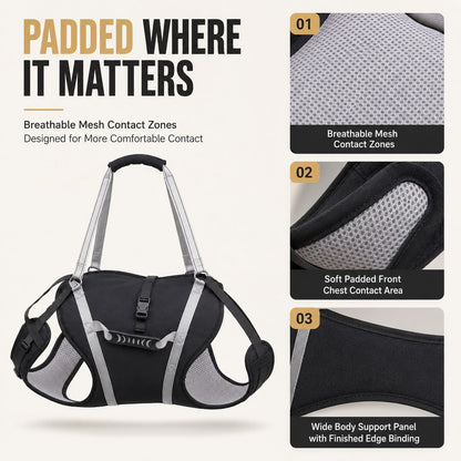 Padded breathable mesh contact zones on full-body dog support harness