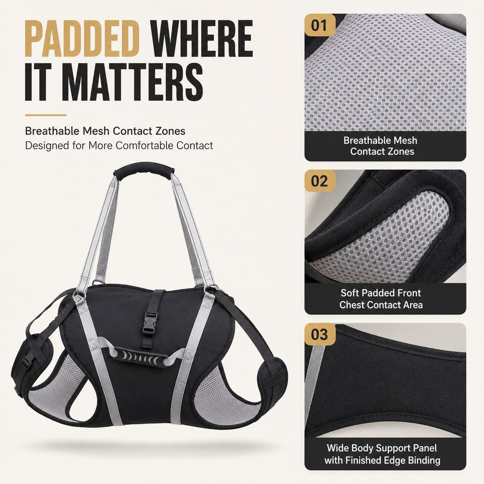 Padded breathable mesh contact zones on full-body dog support harness