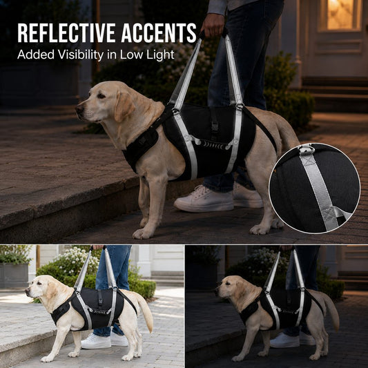 Reflective accents on full-body dog lift support harness