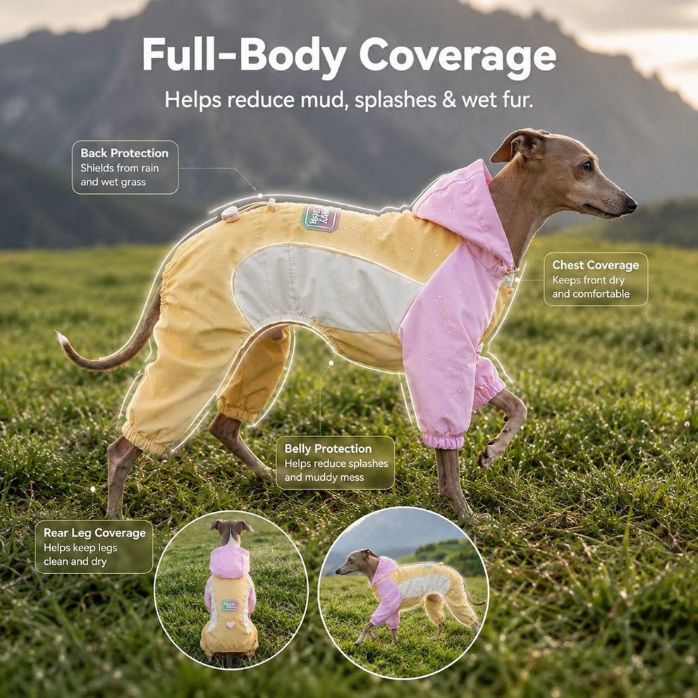 Paws in Awe Waterproof Dog Rain Suit for Rainy Walks - Full-Body Mud & Splash Protection image 4