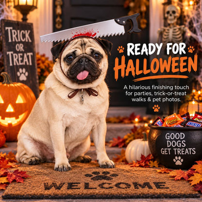 Dog wearing funny Halloween pet headwear for parties
