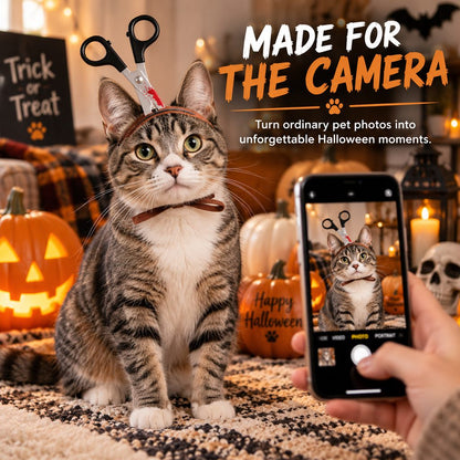 Cat wearing scissors Halloween costume headpiece for photos