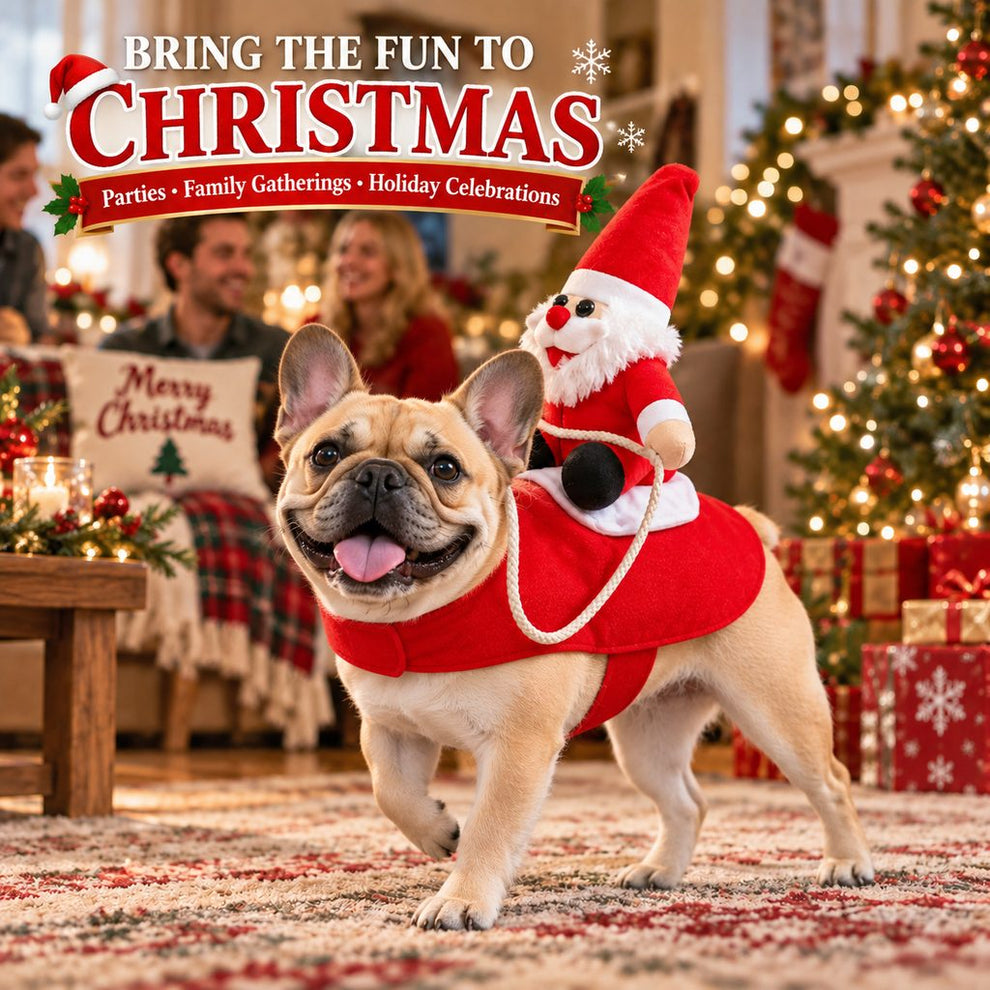 Funny 3D Santa rider dog costume for Christmas parties