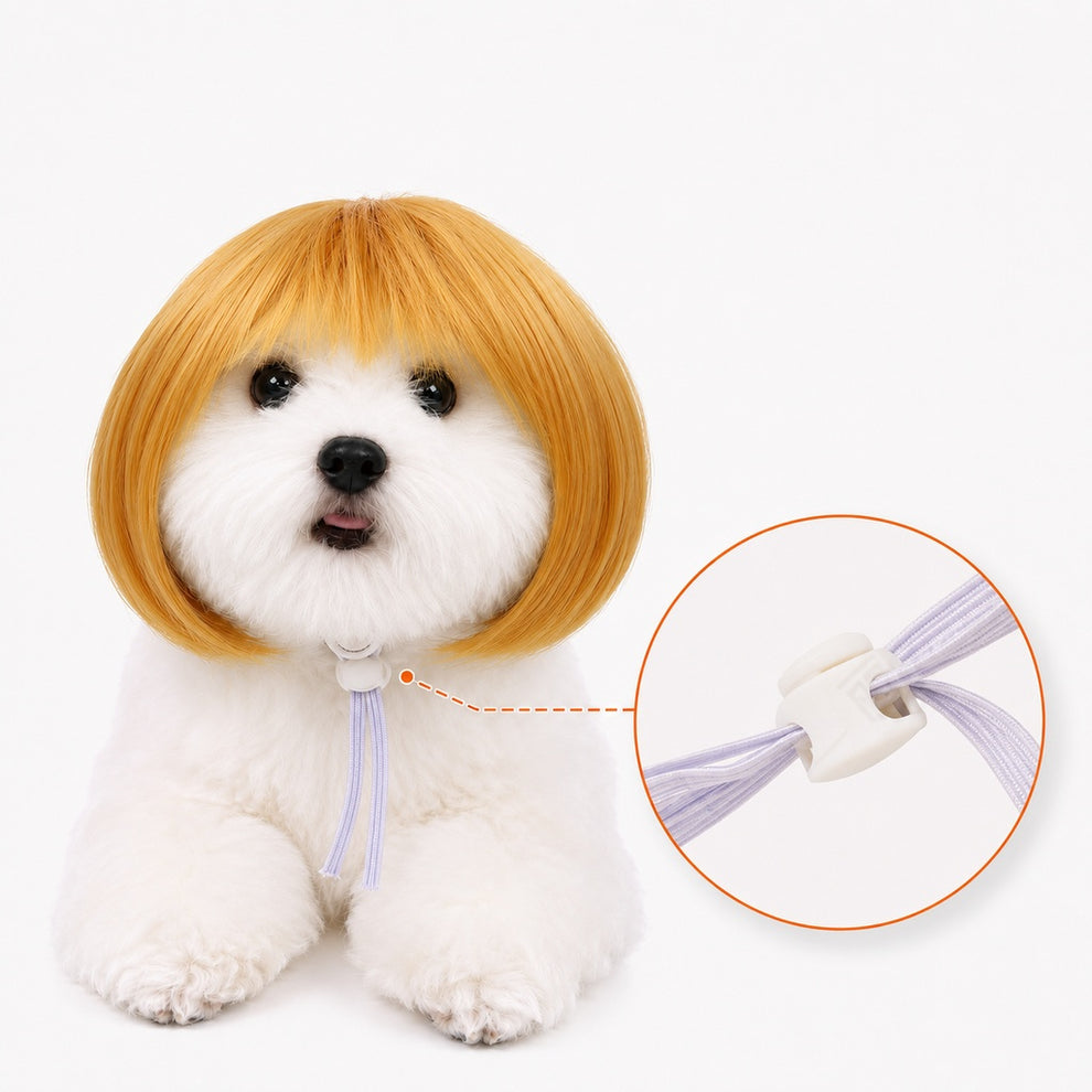 Paws in Awe Funny Short Bob Pet Wig for Photos & Parties - Easy Costume Prop for Cats & Small Dogs image 1