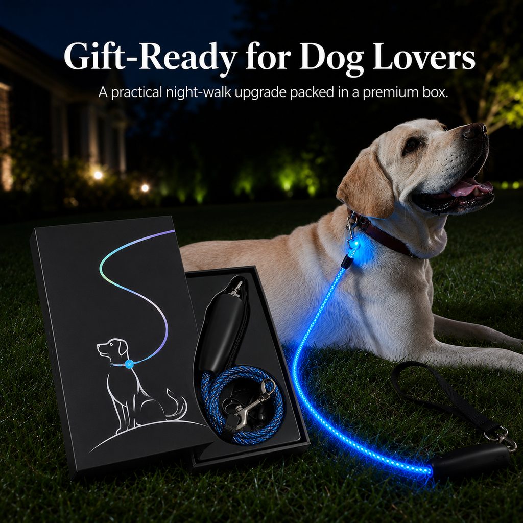 Gift-ready LED dog leash for dog lovers