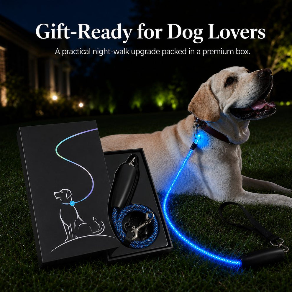 Gift-ready LED dog leash for dog lovers