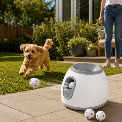 Mini automatic dog ball launcher with 3 balls