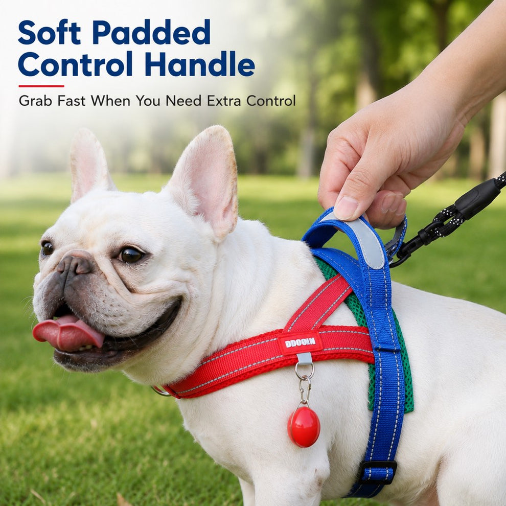 Paws in Awe No-Choke French Bulldog Harness & Leash Set for Daily Walks - Reflective, Easy-Control Fit for Broad-Chest Dogs image 6