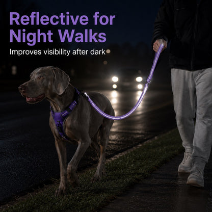 Paws in Awe Reflective Dog Car Seat Belt Leash for Backseat Travel & Daily Walks - Shock-Absorbing Bungee Tether to Help Reduce Pulling & Driver Distraction image 3