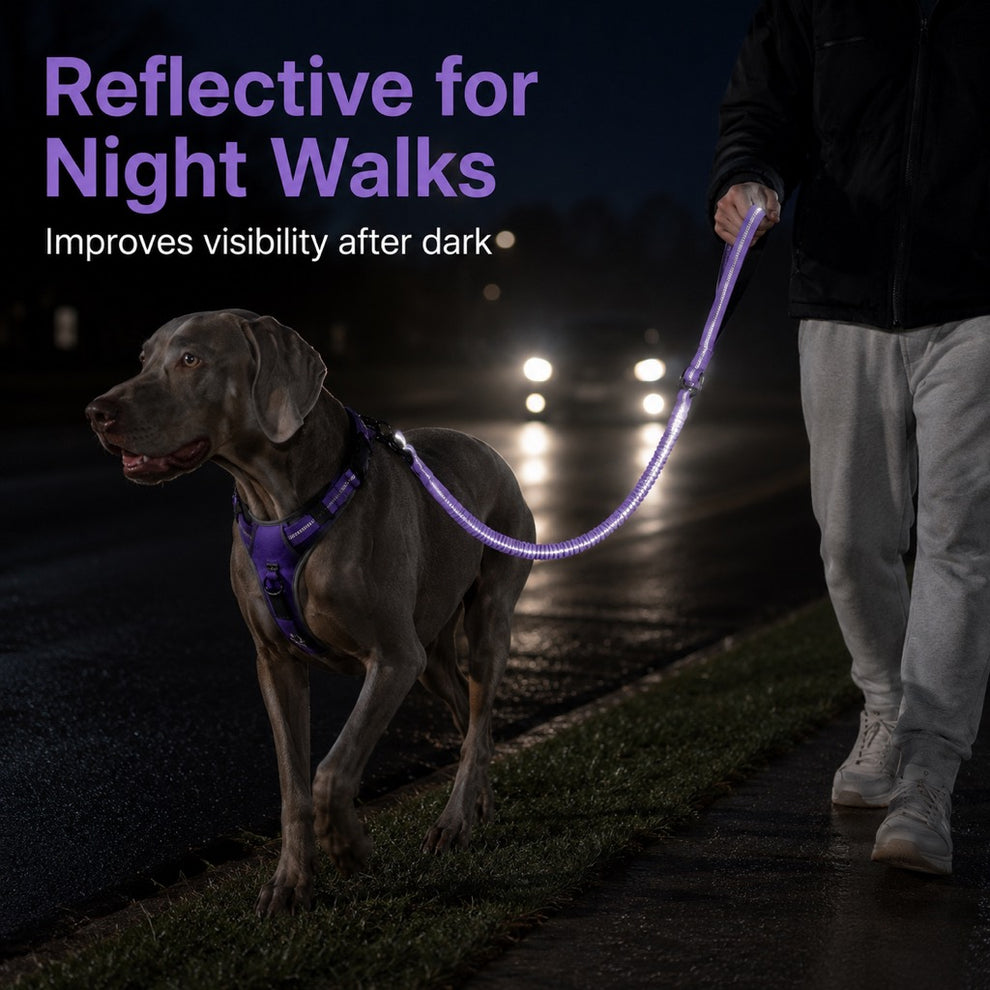 Paws in Awe Reflective Dog Car Seat Belt Leash for Backseat Travel & Daily Walks - Shock-Absorbing Bungee Tether to Help Reduce Pulling & Driver Distraction image 3