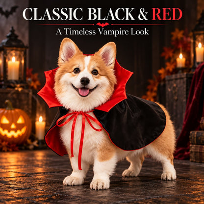 Halloween dog cape for trick-or-treat outings