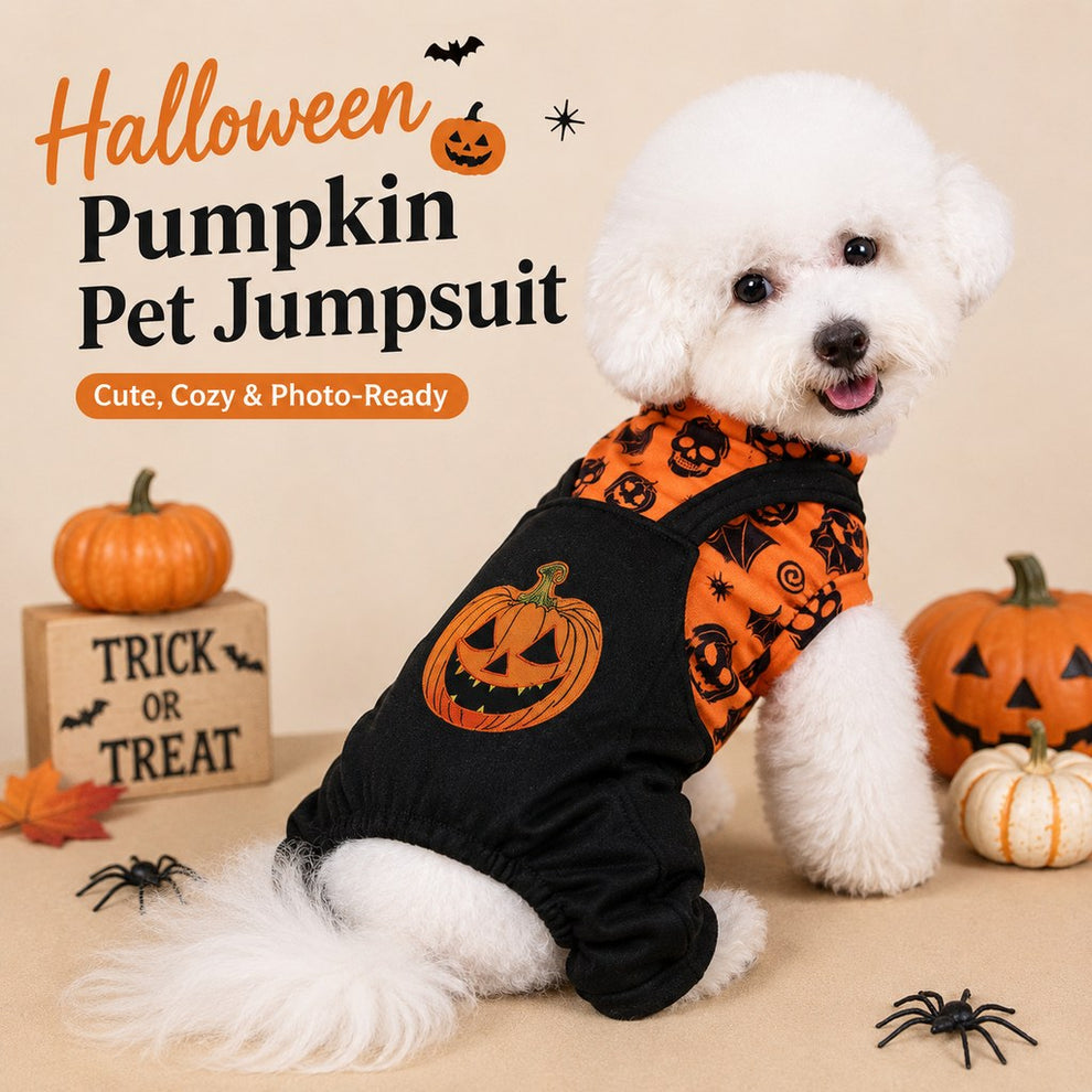 Paws in Awe Halloween Dog Jumpsuit for Parties & Photos - Soft Pumpkin Pet Costume image 2