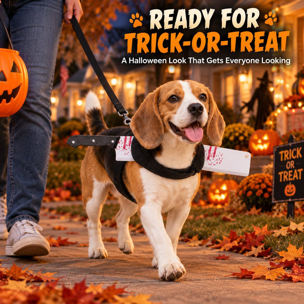 Cleaver Halloween dog costume harness for trick or treating