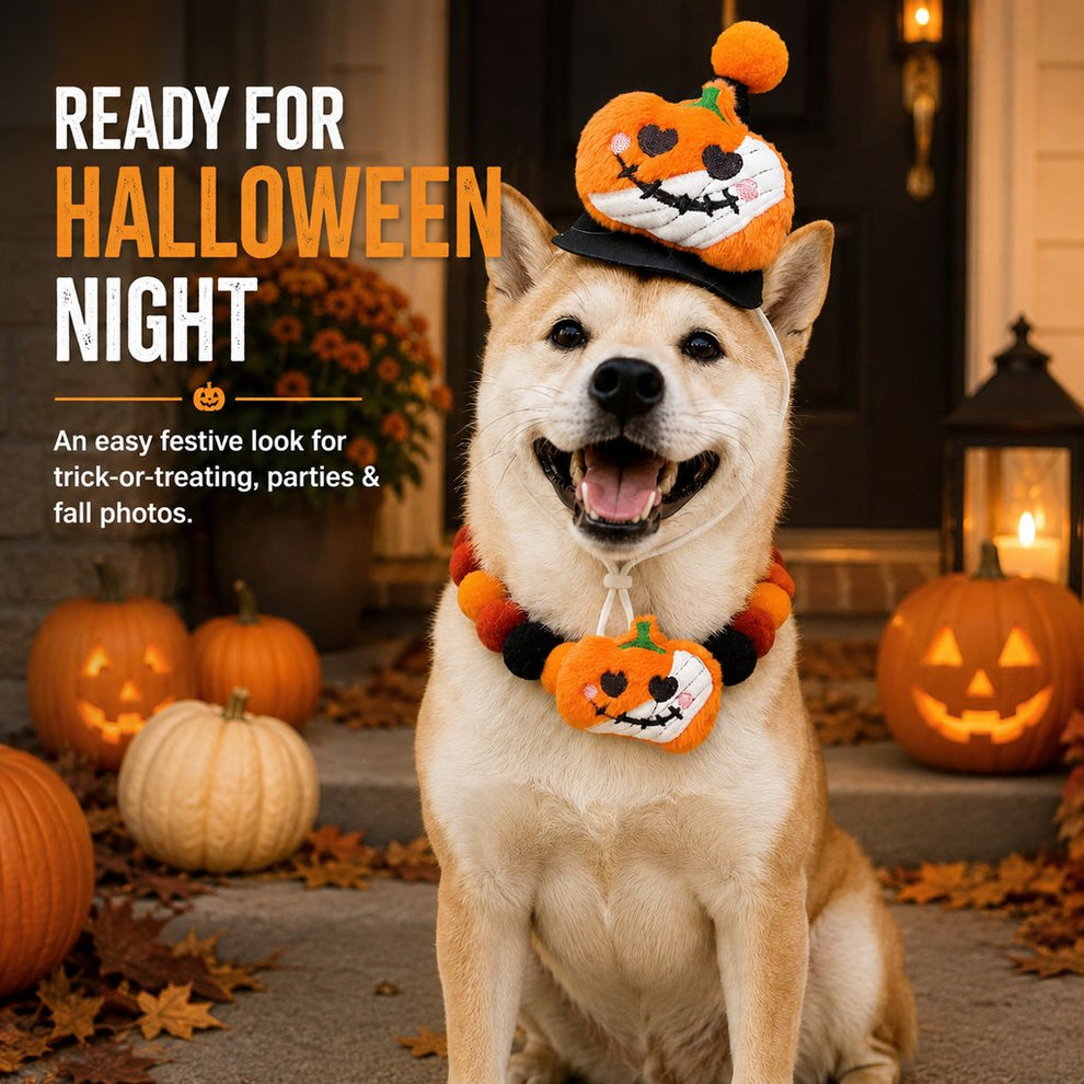 Halloween pet hat and pom-pom collar set image 1