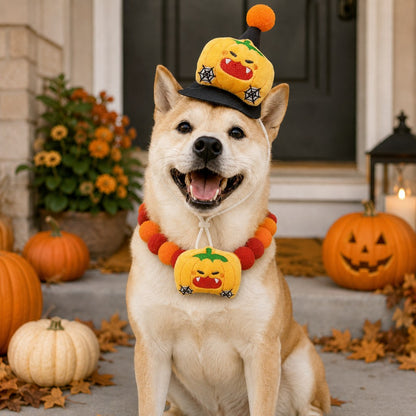 Halloween pet hat and pom-pom collar set image 8