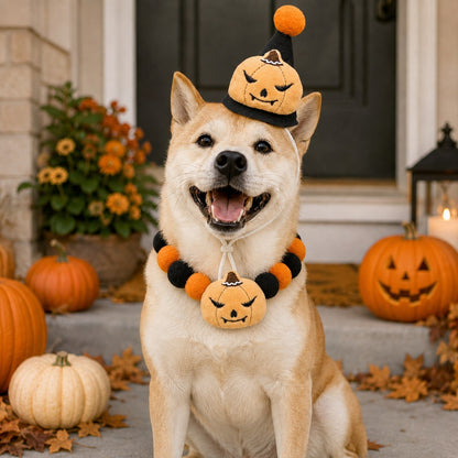 Halloween pet hat and pom-pom collar set image 13