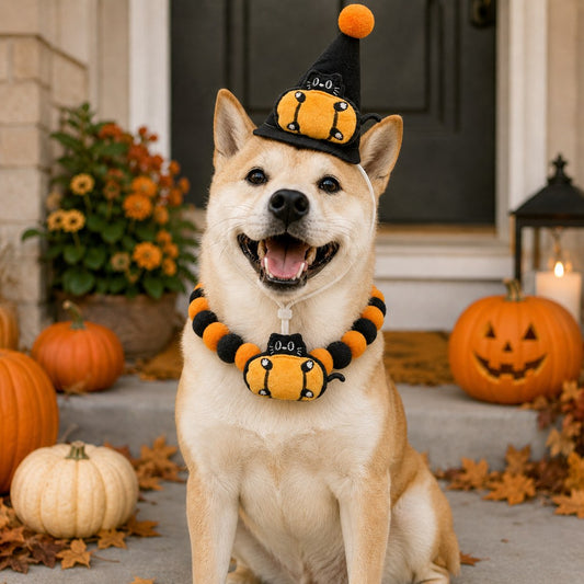 Halloween pet hat and pom-pom collar set image 17