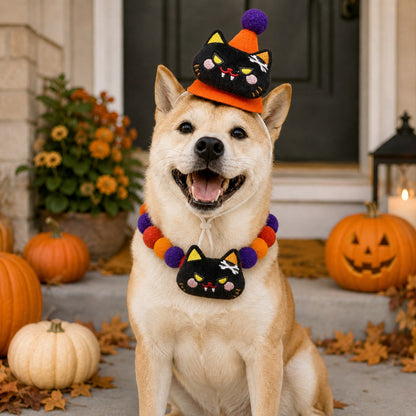 Halloween pet hat and pom-pom collar set image 26