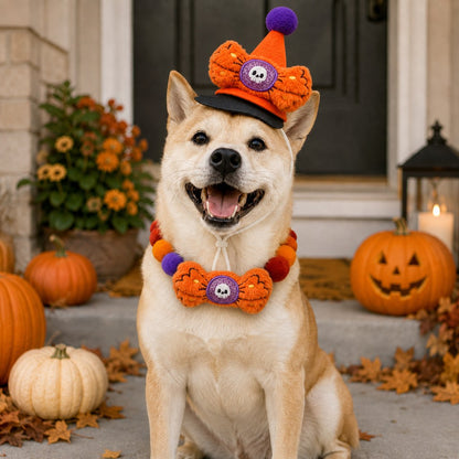 Halloween pet hat and pom-pom collar set image 30