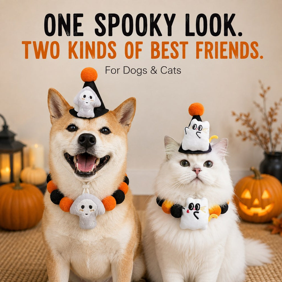 Halloween pet hat and pom-pom collar set image 31