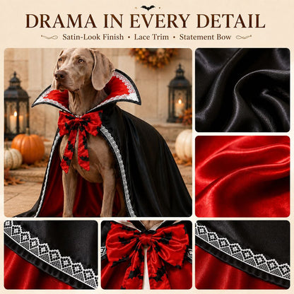 Halloween vampire dog cape detail materials